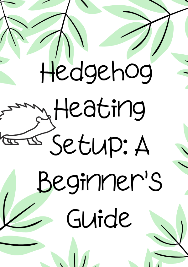 Having an effective hedgehog heating setup is one of the most important things you need as a hedgehog owner. Here's a complete breakdown of how to do it!